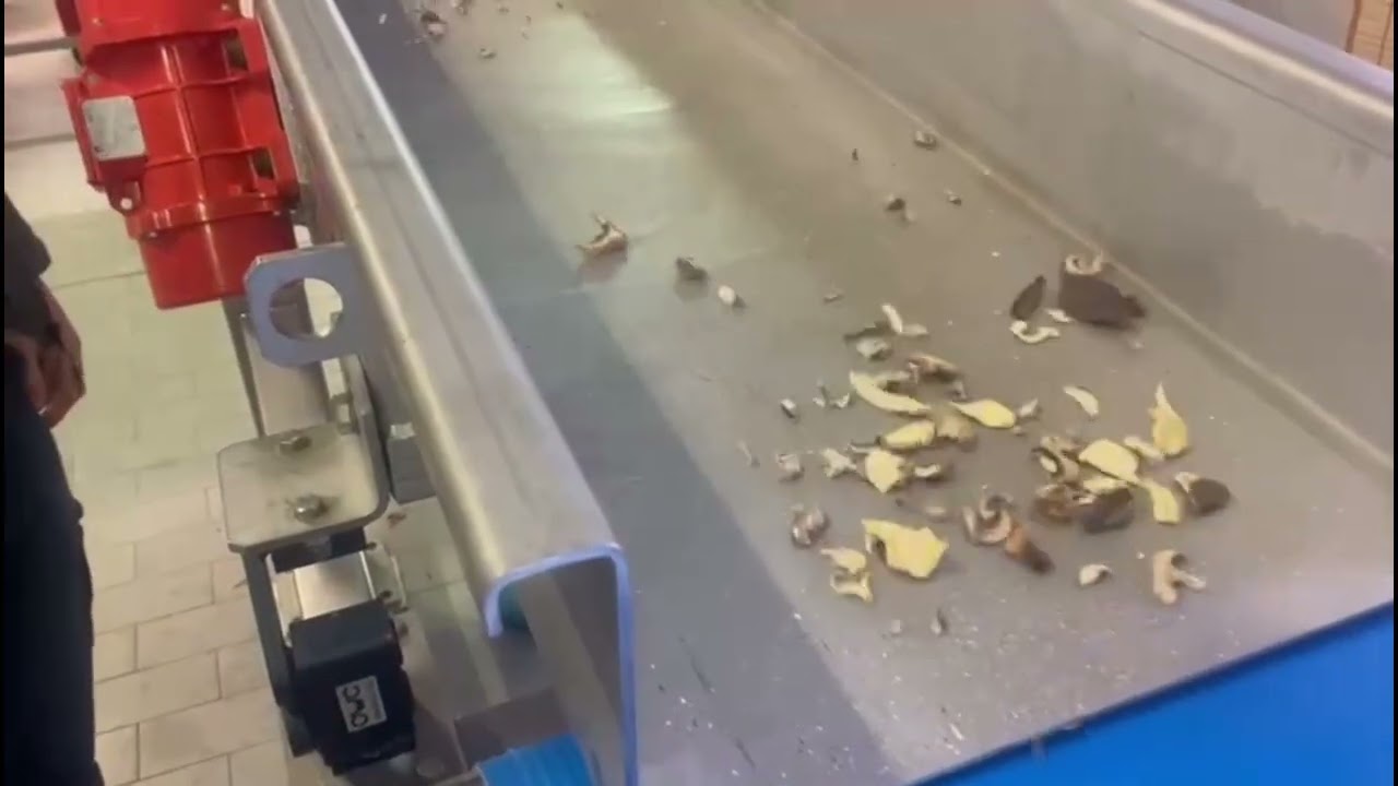 Mushroom Test 4