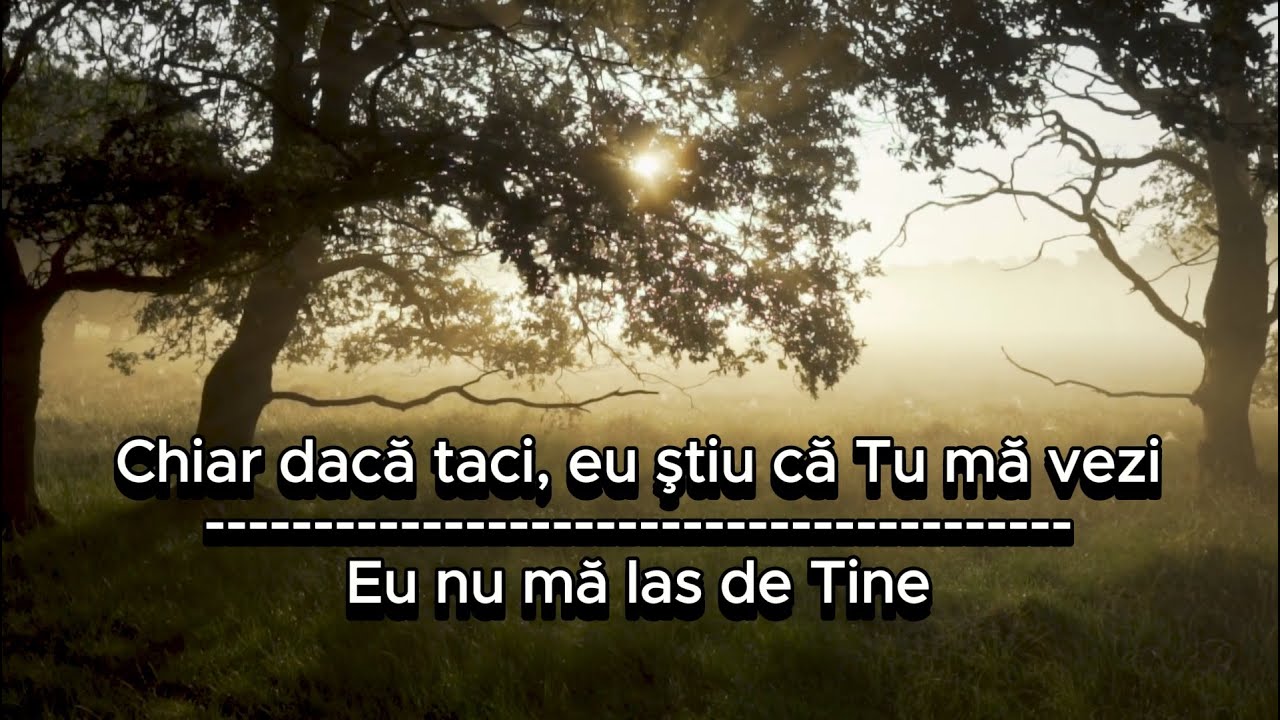 Eu nu ma las de Tine - Claudia Ionescu