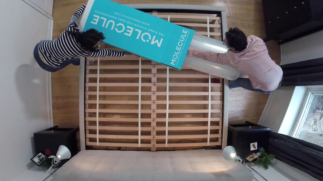 MOLECULE: Unwrap the Best Sleep of Your Life