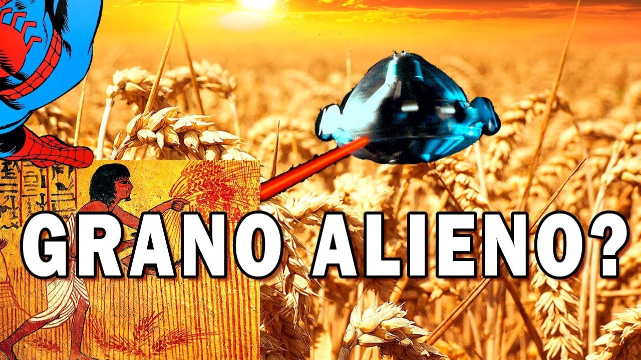 RISPOSTA a MAURO BIGLINO e al suo 