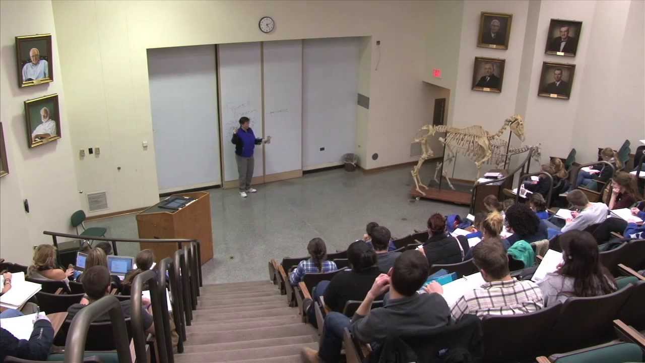 UK Professor Relishes Watching Her Students Succeed