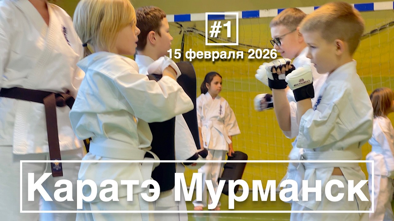 Кёкусинкай / Каратэ Мурманск / Центр Поларбудо / Тренировка (15.02.26) #1