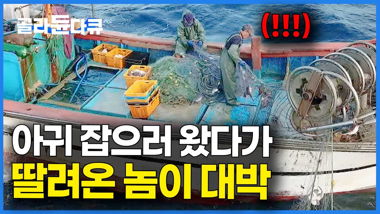 딸려온 놈 하나가 아귀 20마리 값. 한 마리도 아니고 줄줄이 올라온다｜만선 아귀잡이｜극한직업｜#골라듄다큐