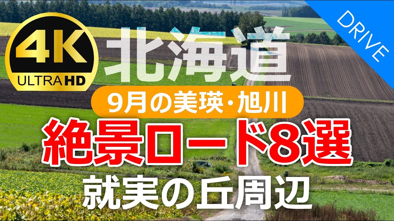【北海道ドライブ】美瑛・旭川｜就実の丘周辺の絶景ロード8選！2024年9月