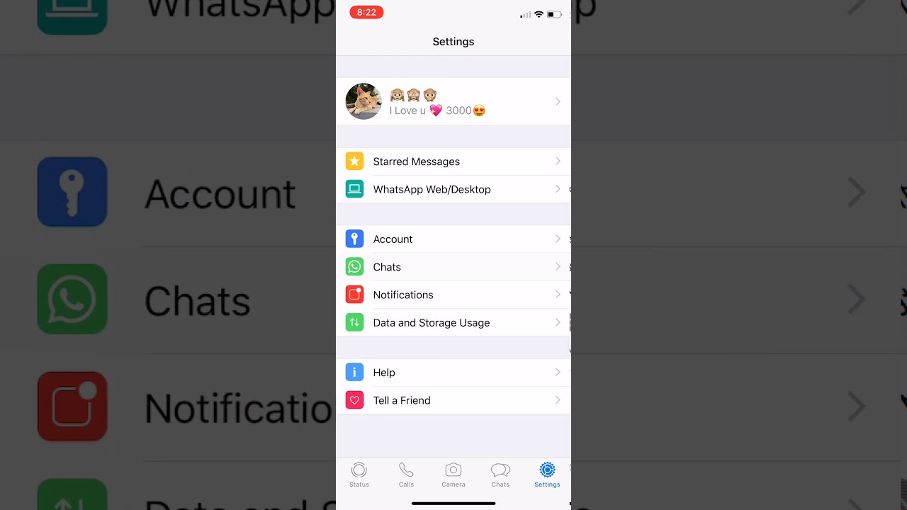 How to mute whatsapp conversation sound in iOS