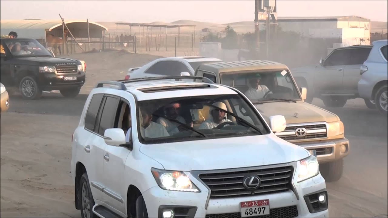 مسيره سياده لـطايع بن صفيان بن طناف المنهالي