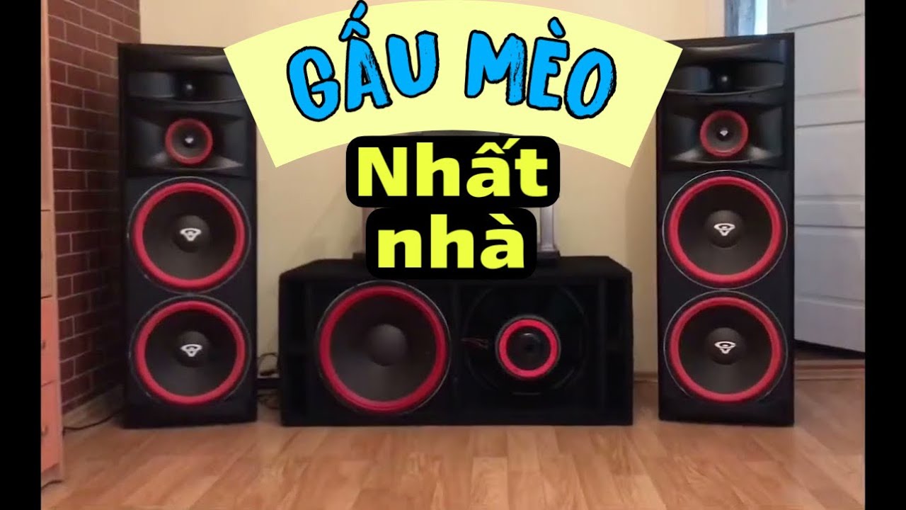 Đẳng Cấp Nhất Nhì Nhà Cerwin Vega . XLS 215 Mới Tinh 100% Mới Về   ( Hát - Nghe Tuyệt Đỉnh)