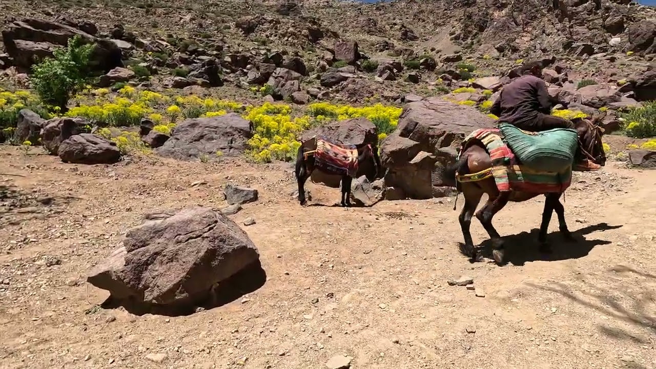 🇲🇦Vlog:01اكتشفوا الجمال الخلاب لطبيعة إمليل ...اجمل قرية نواحي مراكش ,وجميع المعلومات #maroc #fyp