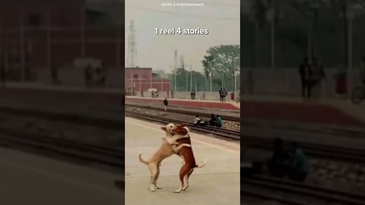 1 photo 4 Stories😆  