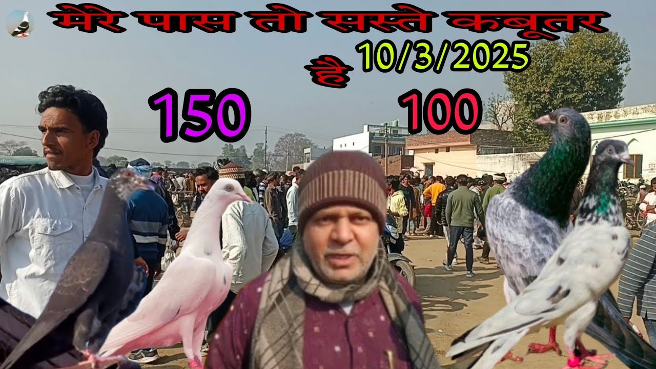 KIRATPUR KABUTAR BAJAR/बिजनौर का सबसे सस्ता बाजार
