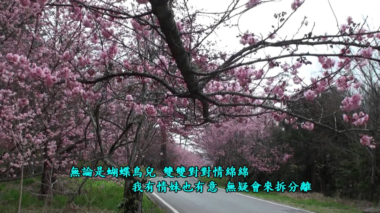 葉啟田【難忘的人】mv 林正果提供