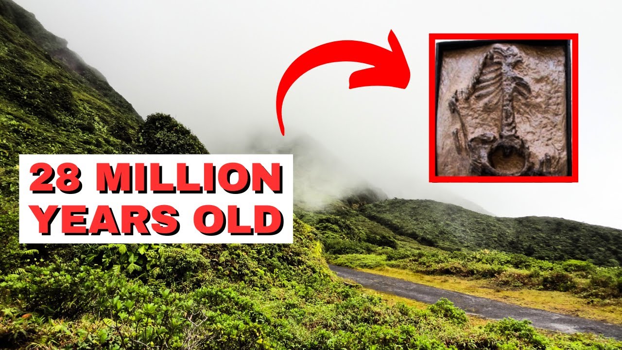 5 Out Of Place Artifacts That Will BLOW Your Mind | OOPARTs EP# 25