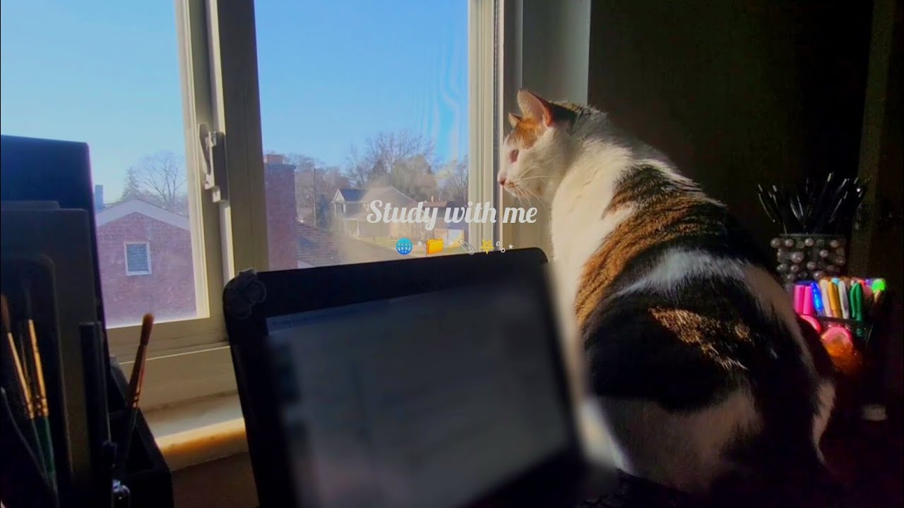 Study with me | 30 minutes | bird sounds | morning | #fyp #viral #algorithm #studywithme #Vlog 