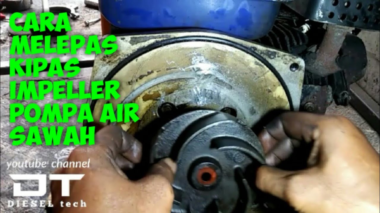 CARA LEPAS KIPAS IMPELLER POMPA AIR SAWAH @DIESEL tech