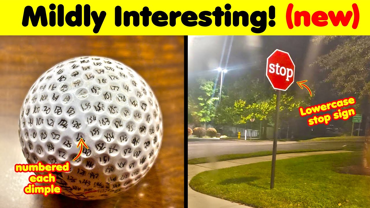 Mildly Interesting Photos - Part 11