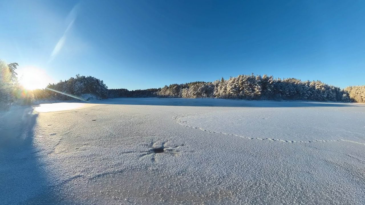 Bajkowy Las Stord Eventyrskogen Heiane