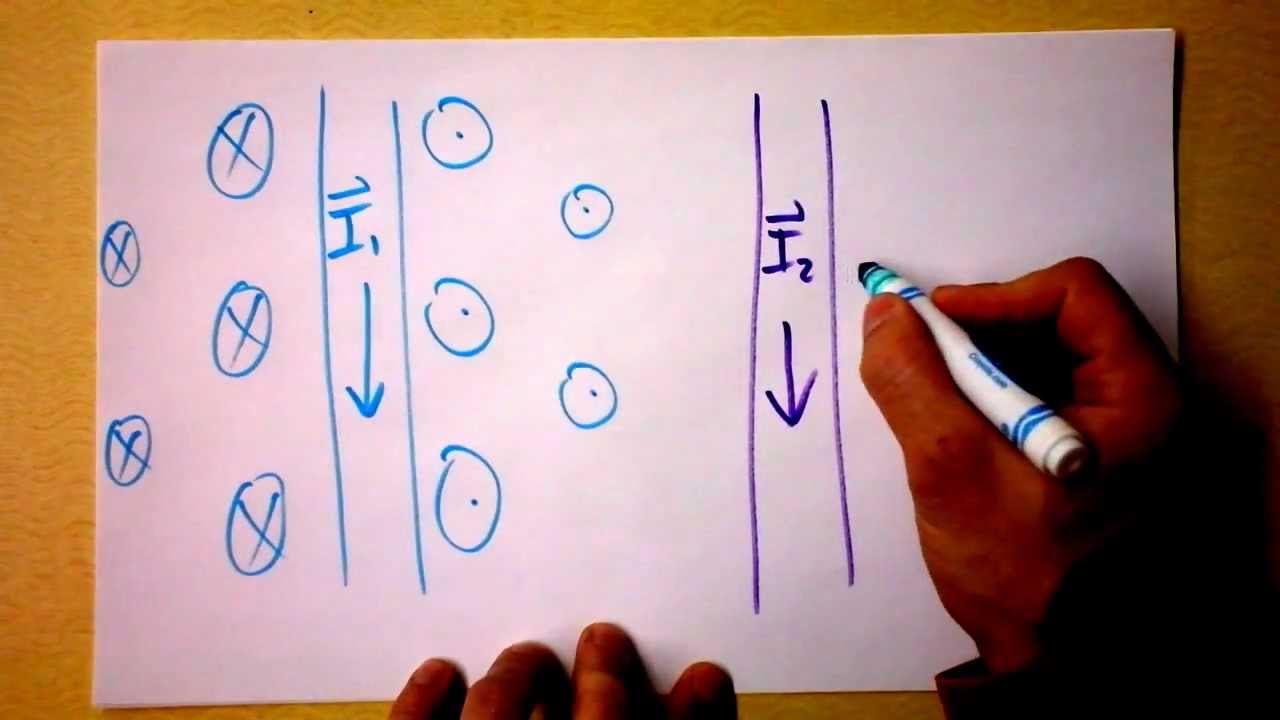 Сила между двумя параллельными проводами с током | Doc Physics