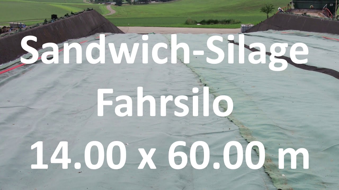 Silovlies Sandwich-Silage