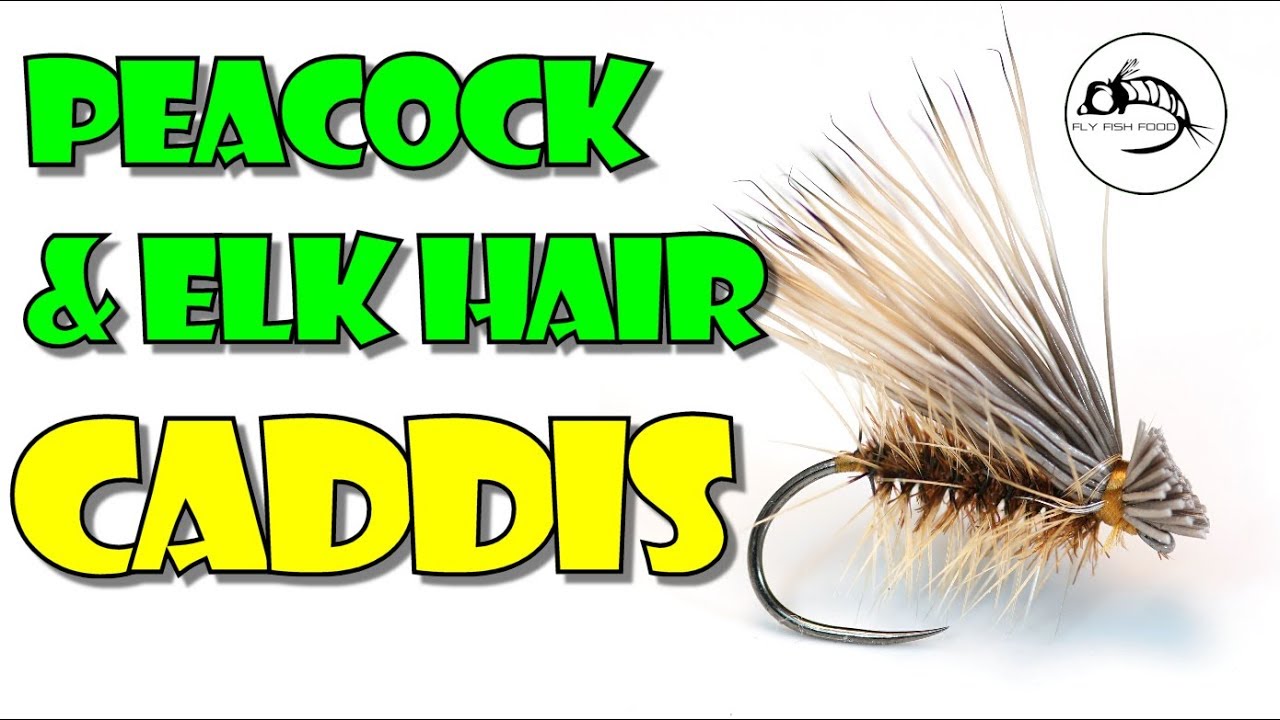 Fly Tying Tutorial: Peacock & Elk Hair Caddis