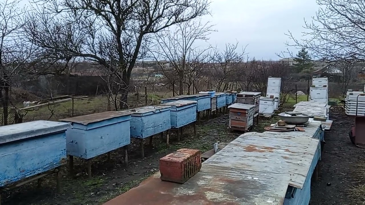 При каких условиях полоски от клеща работают на 100%.