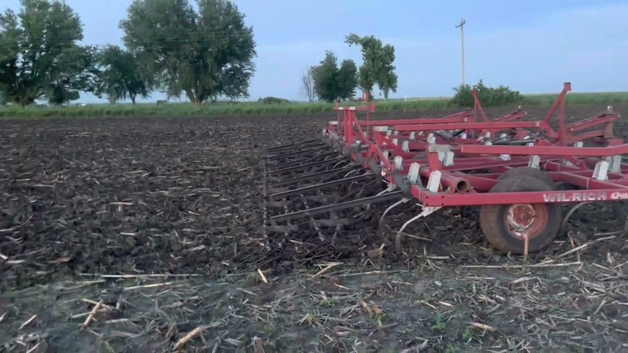 Field Cultivating ahead of organic Soybeans!