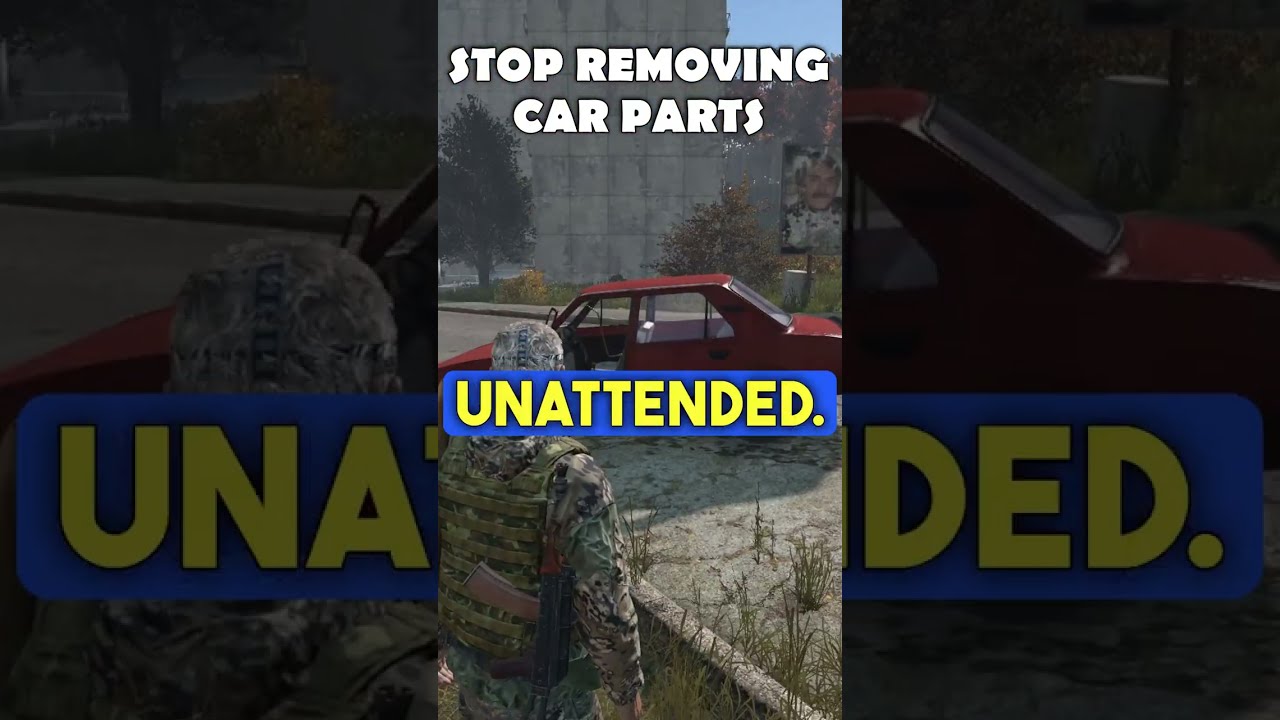 DayZ's Car Mistake 🚗