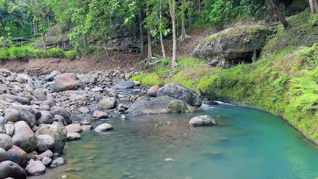 Soft Forest River Flow for Background Relaxation & Mental Peace