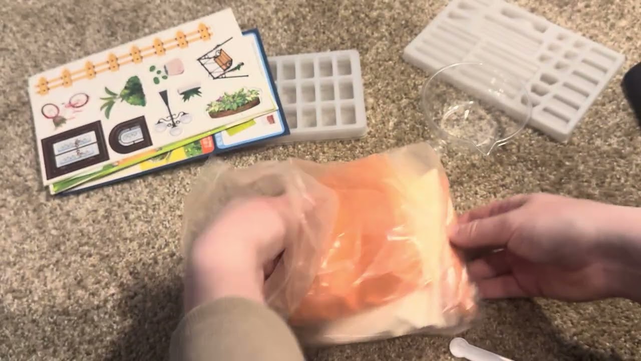 See What You Get When You Purchase This Building Set!