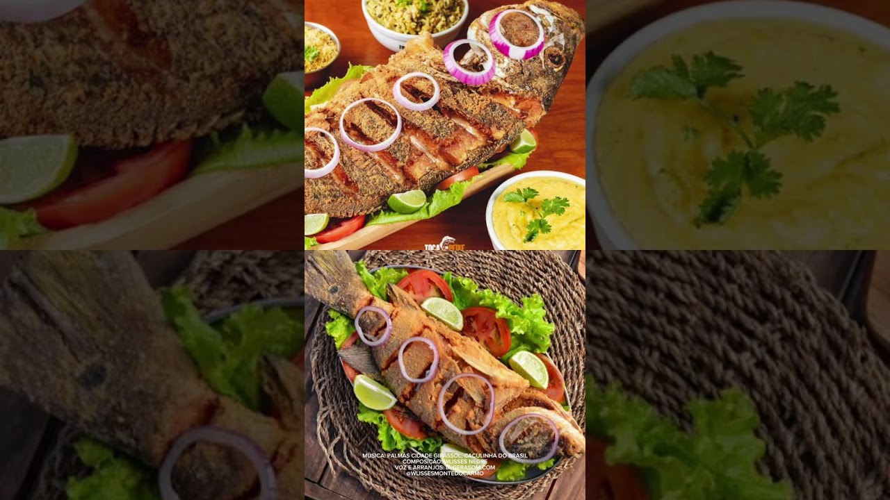 VIDEO MUSICA PALMAS CIDADE GIRASSOL, CAÇULINHA DO BRASIL