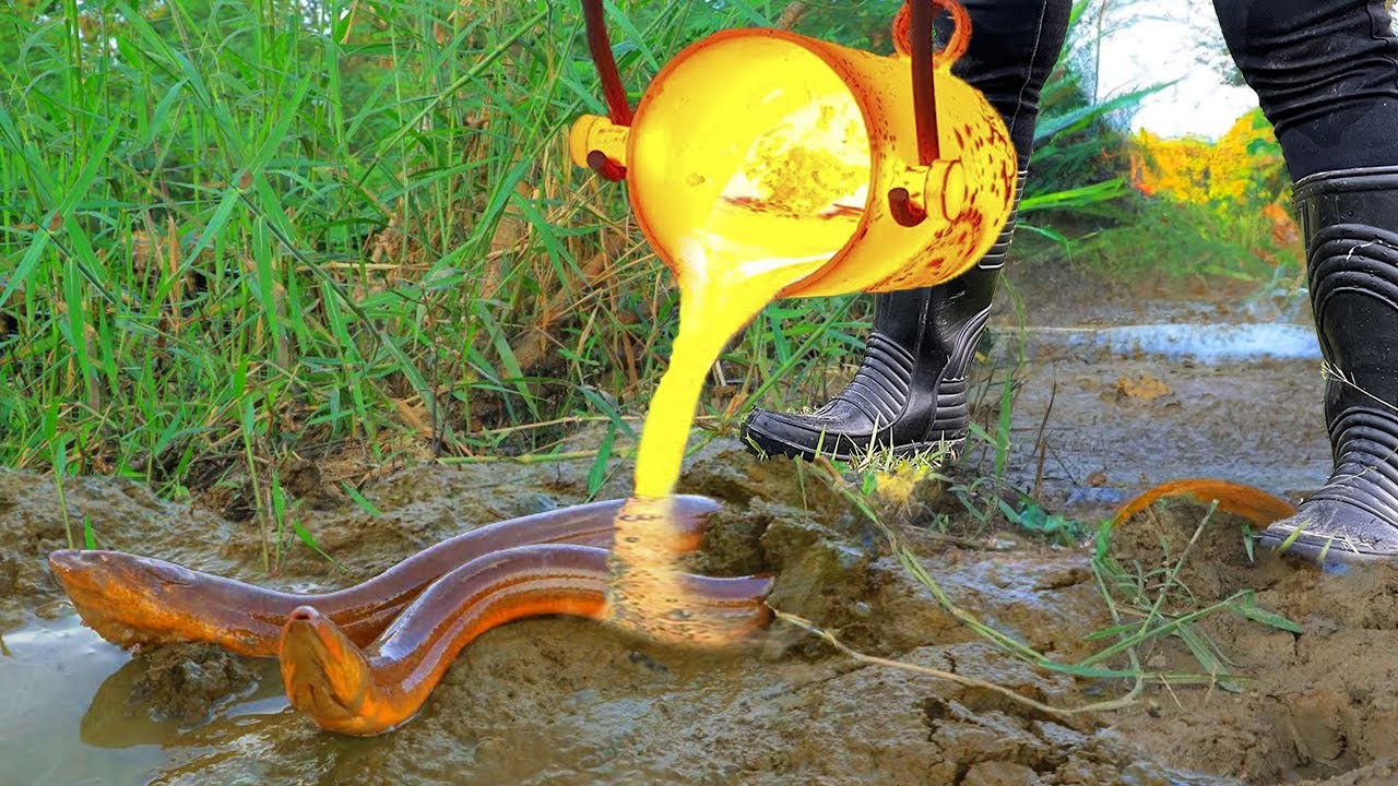 LAVA vs ELECTRIC EEL Underground