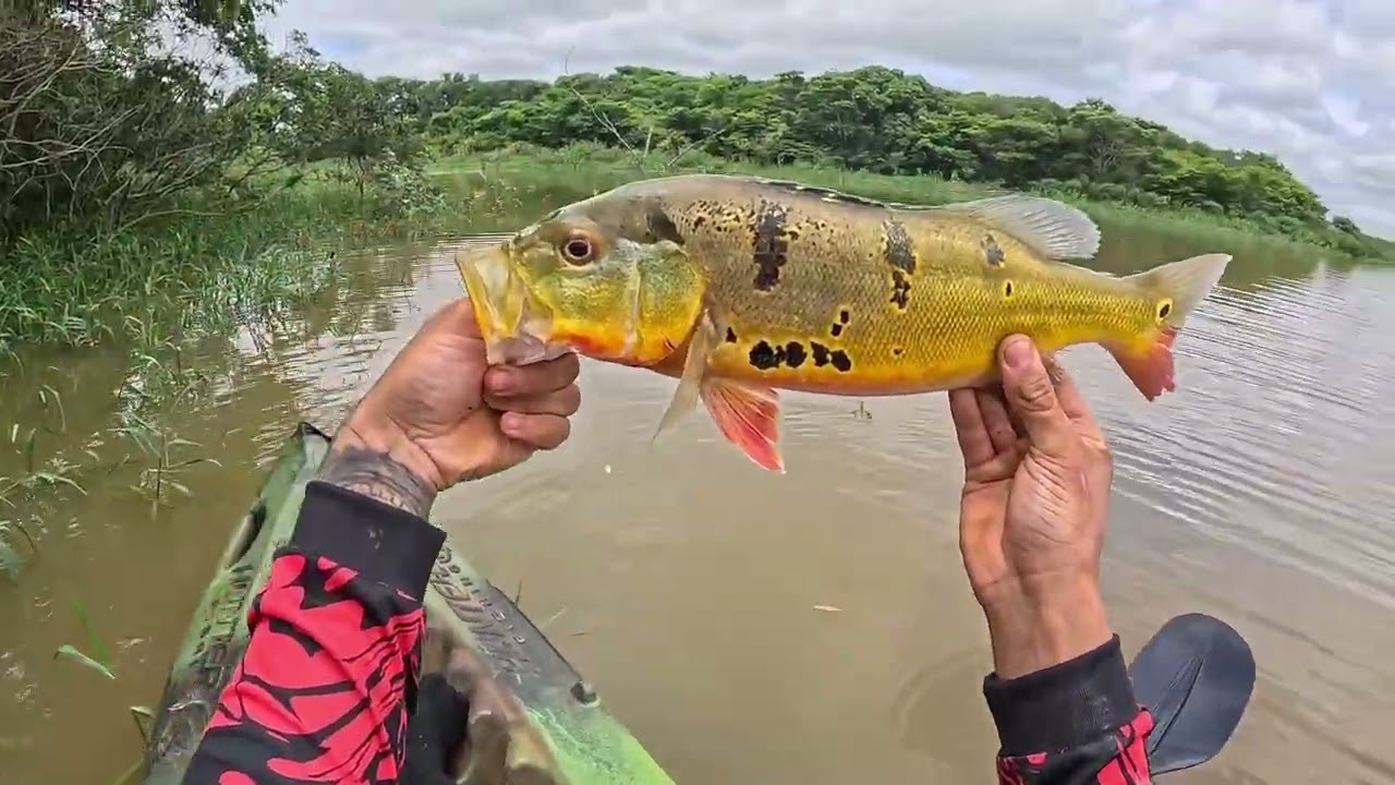 Dia de pescaria com resultado especial 