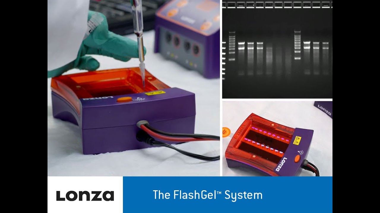 The FlashGel™ System