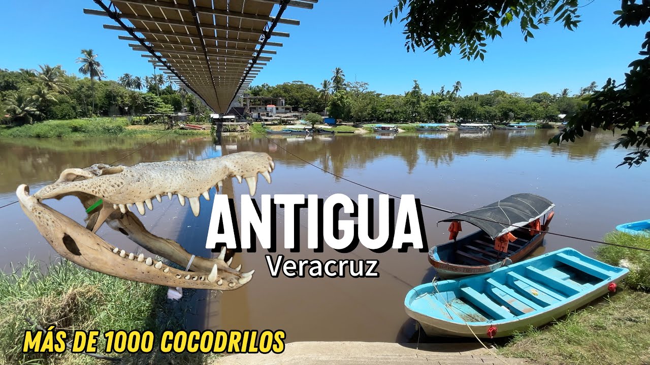 🐊 Aquí crían cocodrilos y se los comen // LA ANTIGUA Veracruz y la casa de Hernan Cortez