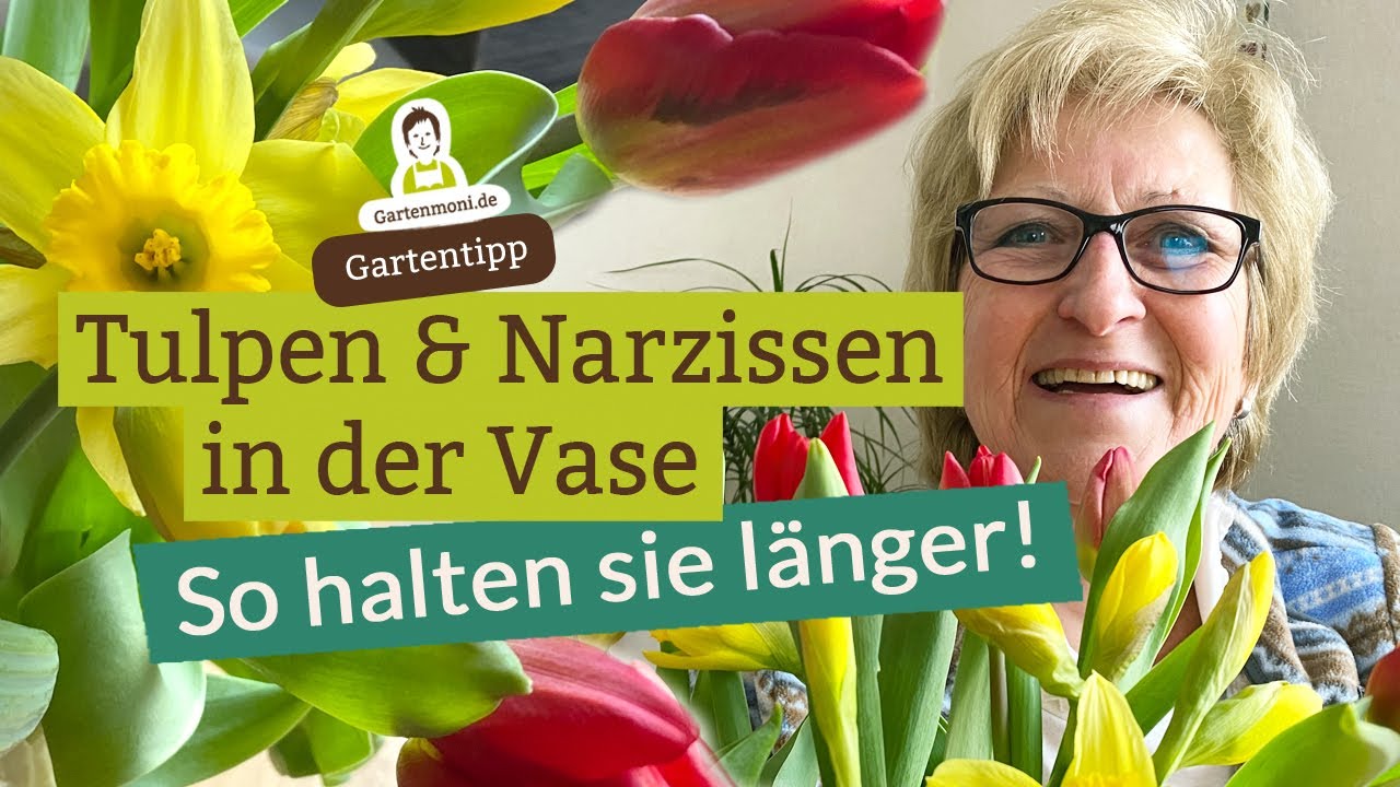Blüh-Tipps: Wie halten Tulpen und Narzissen länger in der Vase?