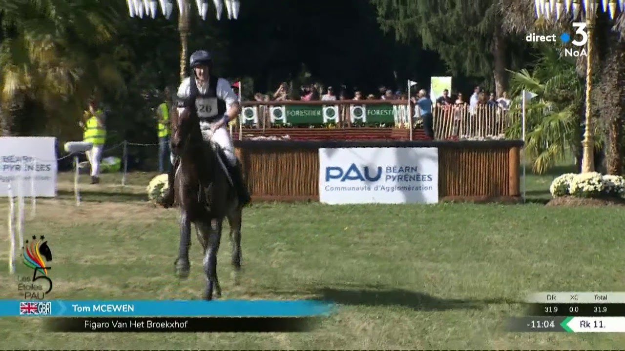 Le cross du 5 étoiles CCI de Pau 2019