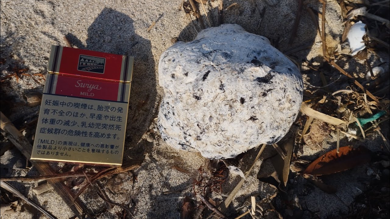 ROAD TO AMBERGRIS 妄執の龍涎香拾い (6)