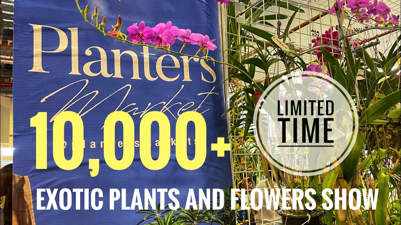2023 Aquatic and Garden Asia show|Sharing amazing rare plants from Asia 🪴🌸