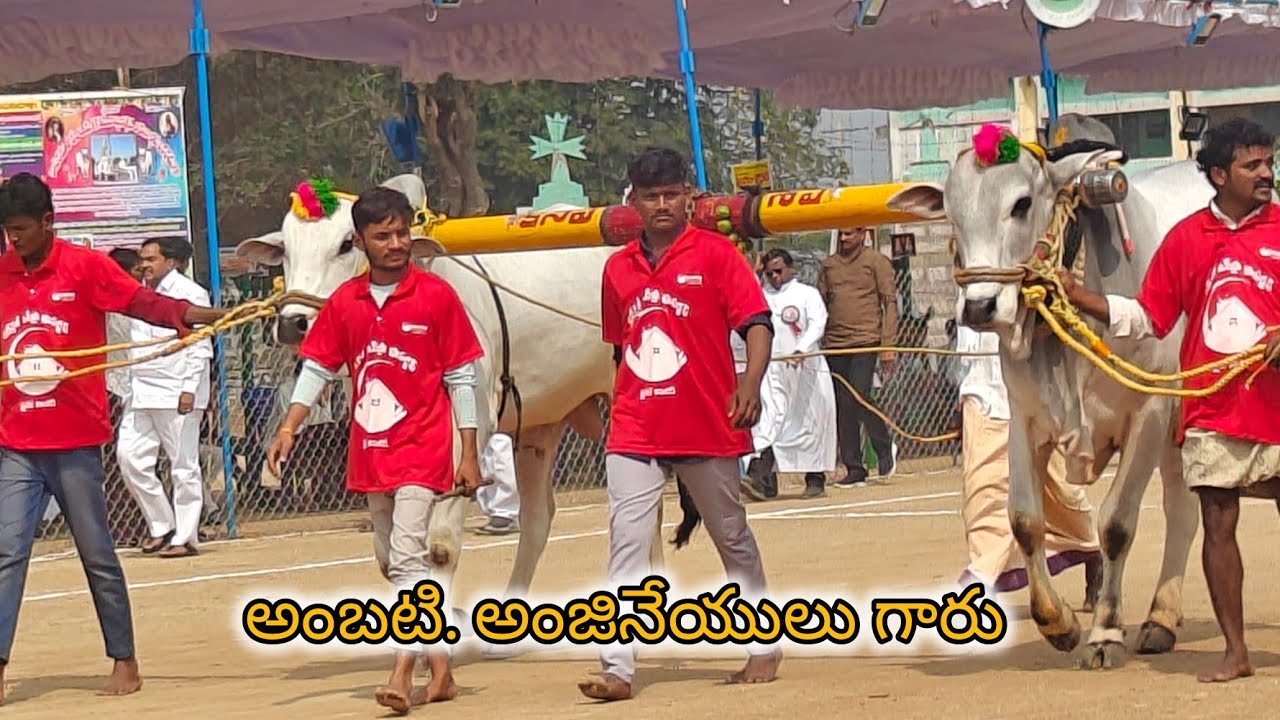 రెంటచింతల 4పళ్ళు 2వ అంబటి ఆంజనేయులు గారు జట్టిపాలెం గ్రామం పల్నాడు జిల్లా
