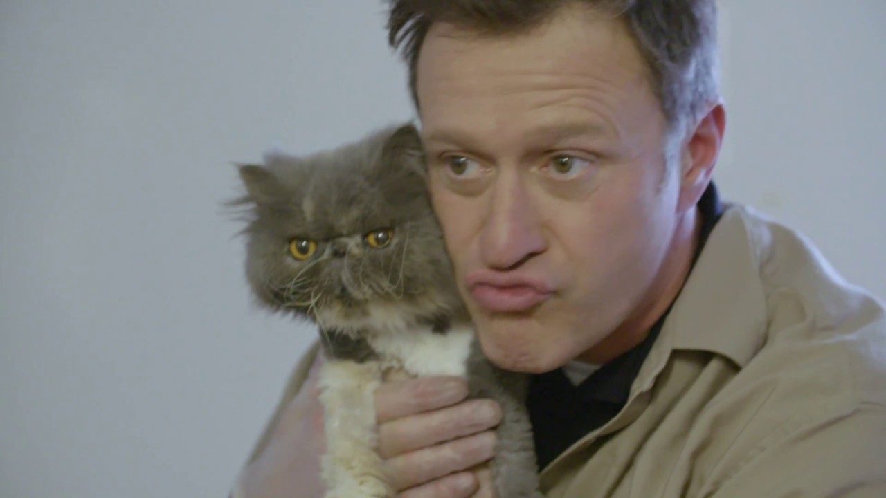 Refuge animal | Saison 3