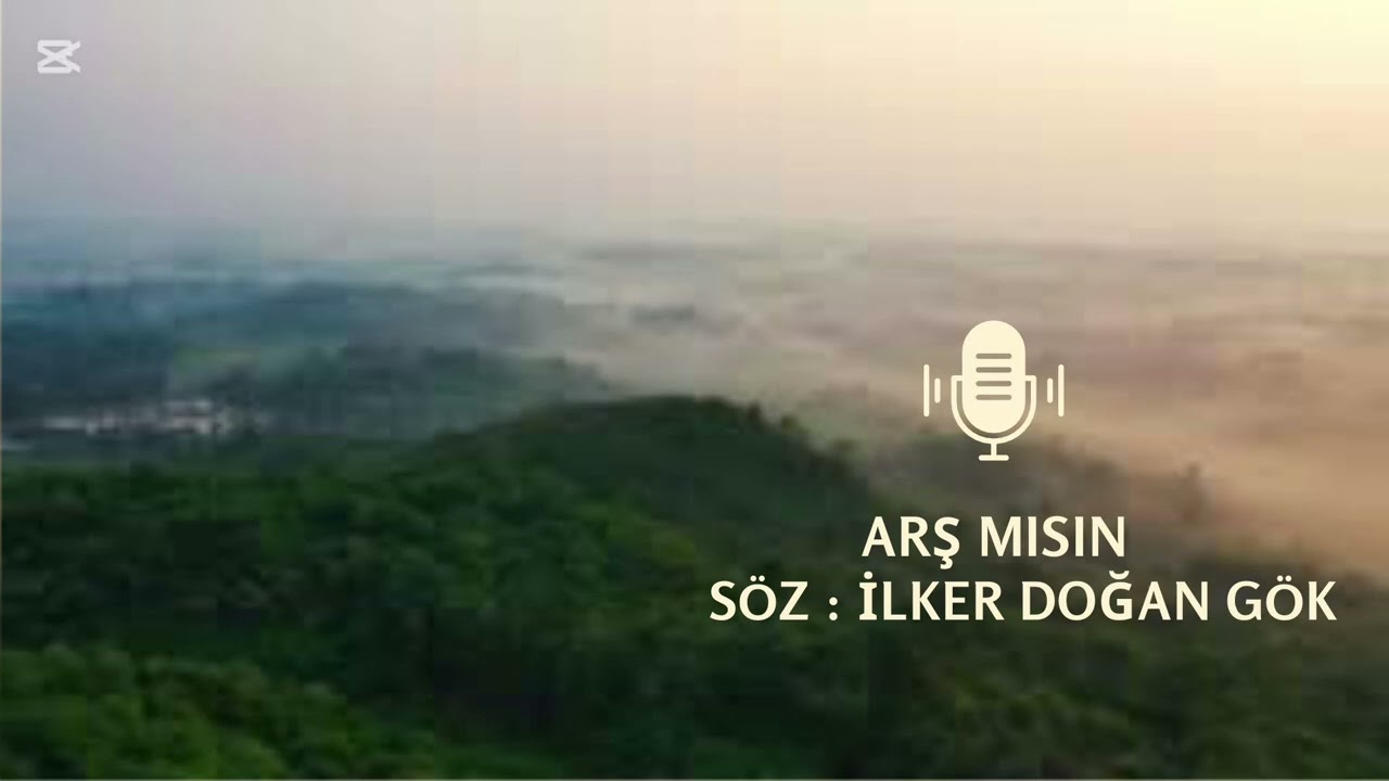 ARŞ MISIN 