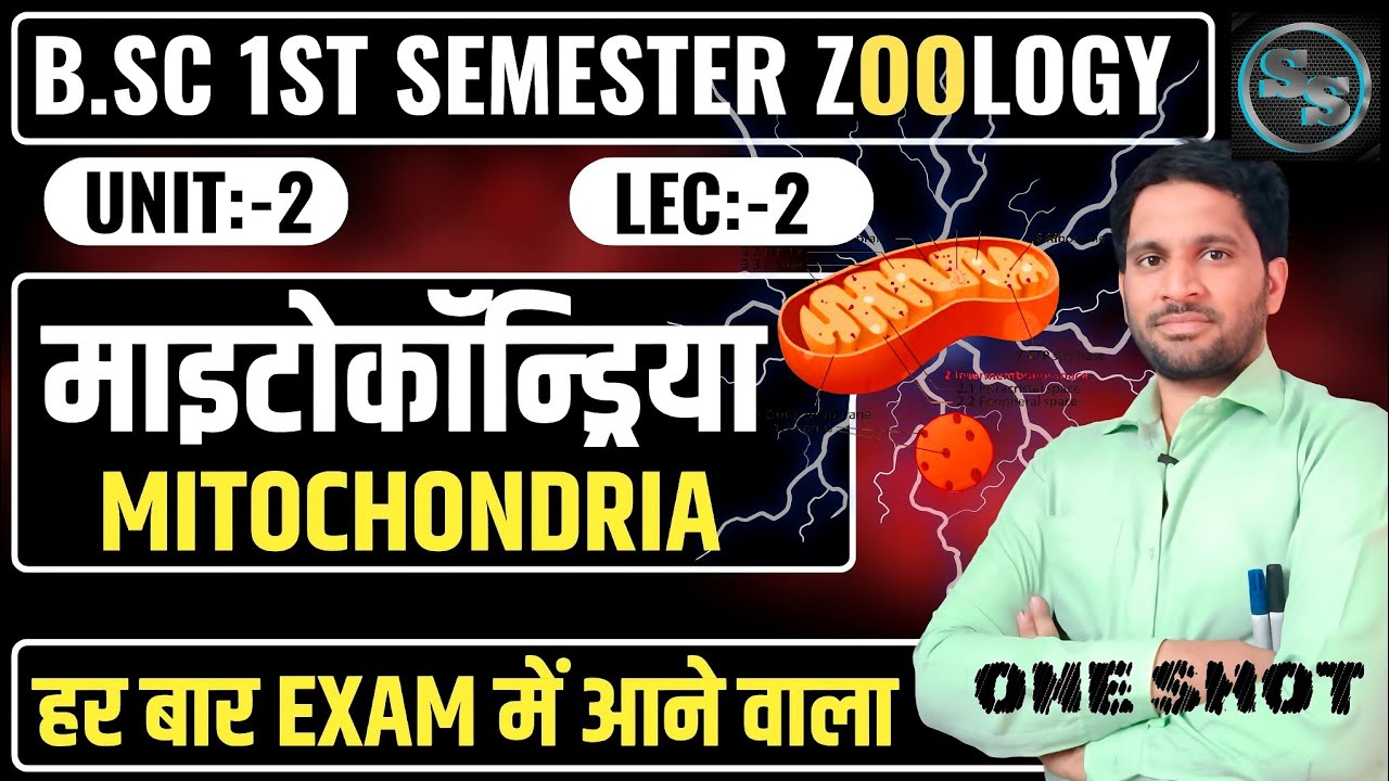Mitochondria Structure and Function | Mitochondria Bsc 1st Year Zoology | Mitochondria Bsc 1st Sem