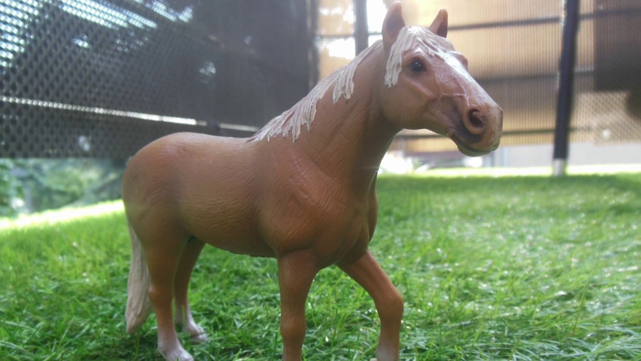 Sesja koni na dworze #20-Moje najnowsze konie ❤️ 🐴 🐎
