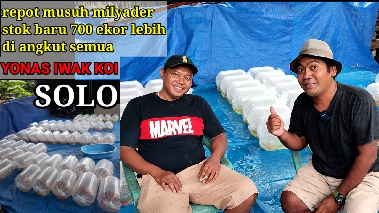 Milyader Solo Dateng Lagi II Borong Ikan Di Geronimo Koi 700ekor Lebih II Dasar Sultan