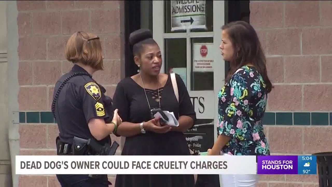 KHOU 11 Top Headlines at 5 p.m. June 4, 2018