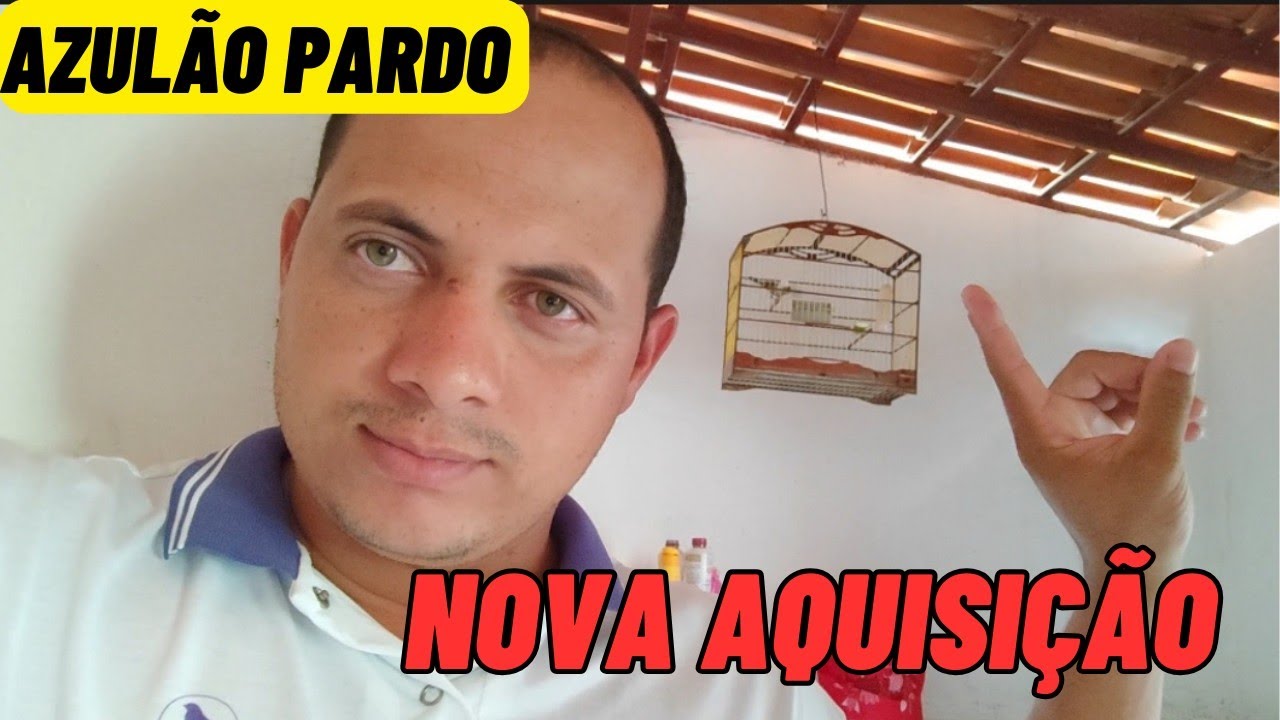 Nova aquisi&ccedil;&atilde;o para o canal AZUL&Atilde;O PARDO MANEJO NA PRATICA