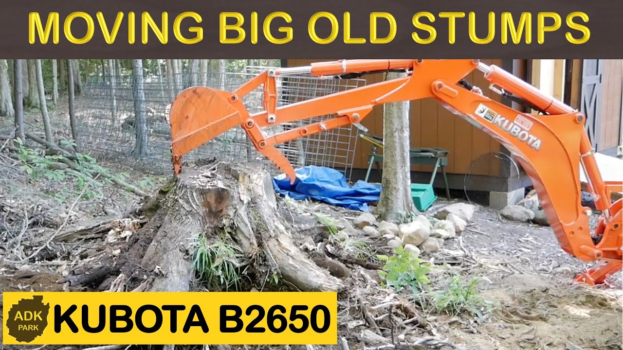KUBOTA B2650 - Moving Some BIG OLD Stumps!