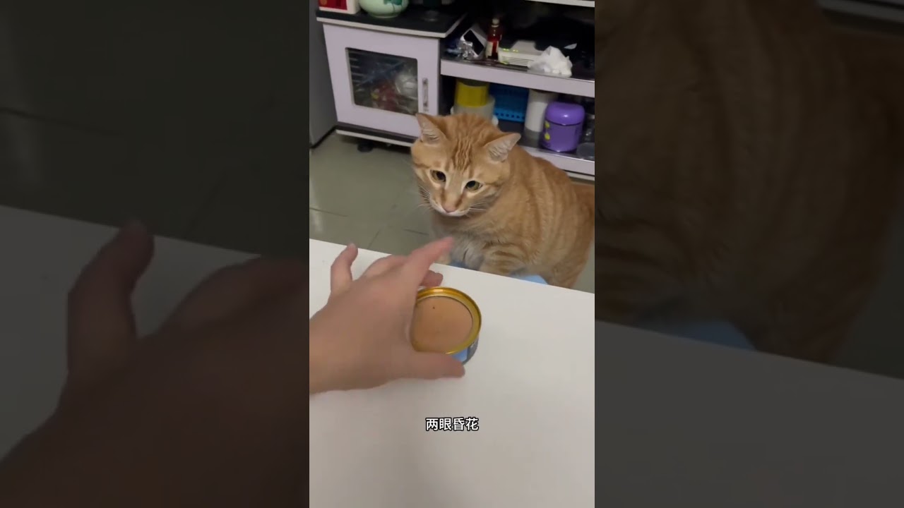 Have some fragrant canned food today