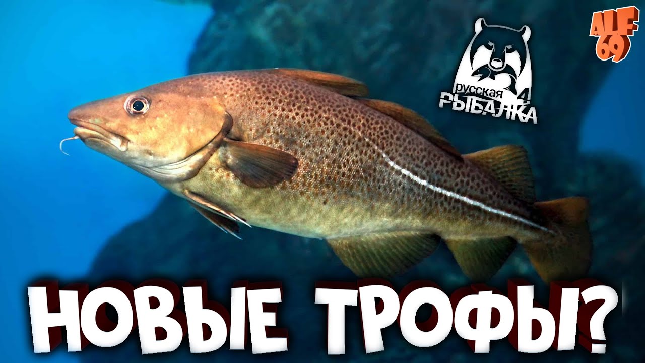ИЩЕМ ТРОФЕИ, ФАРМИМ, ОБЩАЕМСЯ! #SHORTS СТРИМ РУССКАЯ РЫБАЛКА 4 (RUSSIAN FISHING 4)