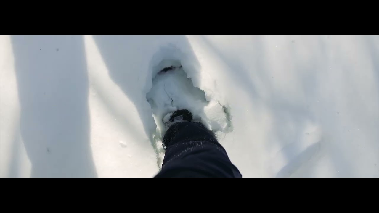 TEST Blazar Talon 50mm AF Lens forest and Lord of the Snow from Wildreness and spirits other dimensi
