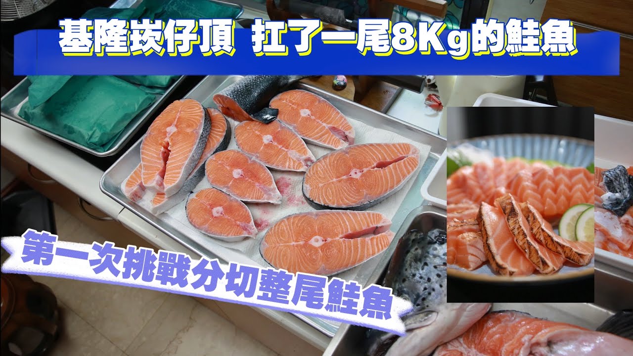 基隆崁仔頂 J J挑戰一下扛尾8Kg #挪威鮭魚 回家實現真正的鮭魚自由